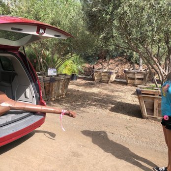 Moon Valley Nurseries - Lacey and Bruce - Tree Services Near Me - Irvine, California Moon Valley Nurseries - Lacey and Bruce - Tree Services Near Me - Irvine, California