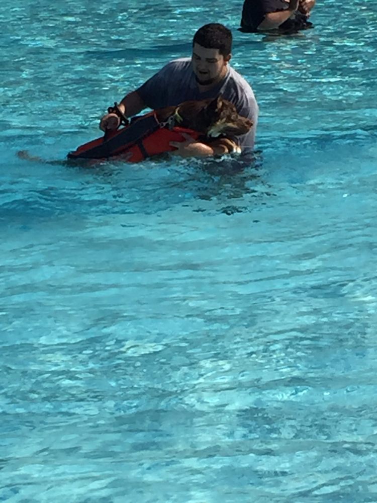 ALLENTOWN SPLASH, TENNIS AND FITNESS PARK 19 Reviews 【7210 Allentown