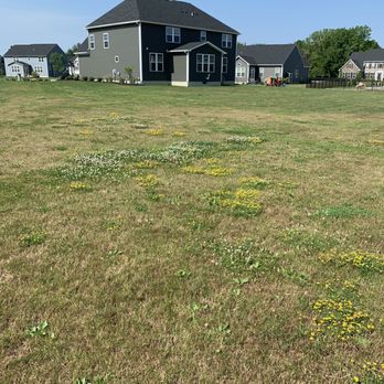 TruGreen Lawn Care - They have killed my beautiful expensive grass and have no idea how to get rid of weeds. - Tree Services Near Me - Elyria, Ohio