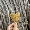 Walnut Creek Metropolitan Park gift card