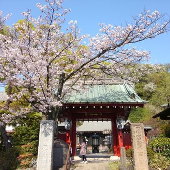 歓成院 - Updated September 2025 - 10 Photos - 大倉山2丁目8-7