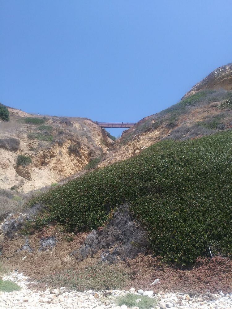 Ocean Trails 158 Photos & 40 Reviews Hiking 1 Oceanaire Dr