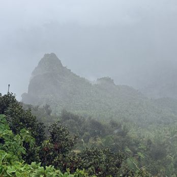 El Yunque Rainforest - Hiking Near Me - Luquillo, Puerto Rico El Yunque Rainforest - Hiking Near Me - Luquillo, Puerto Rico