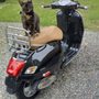 Photo of Hudson Valley Motorcycles