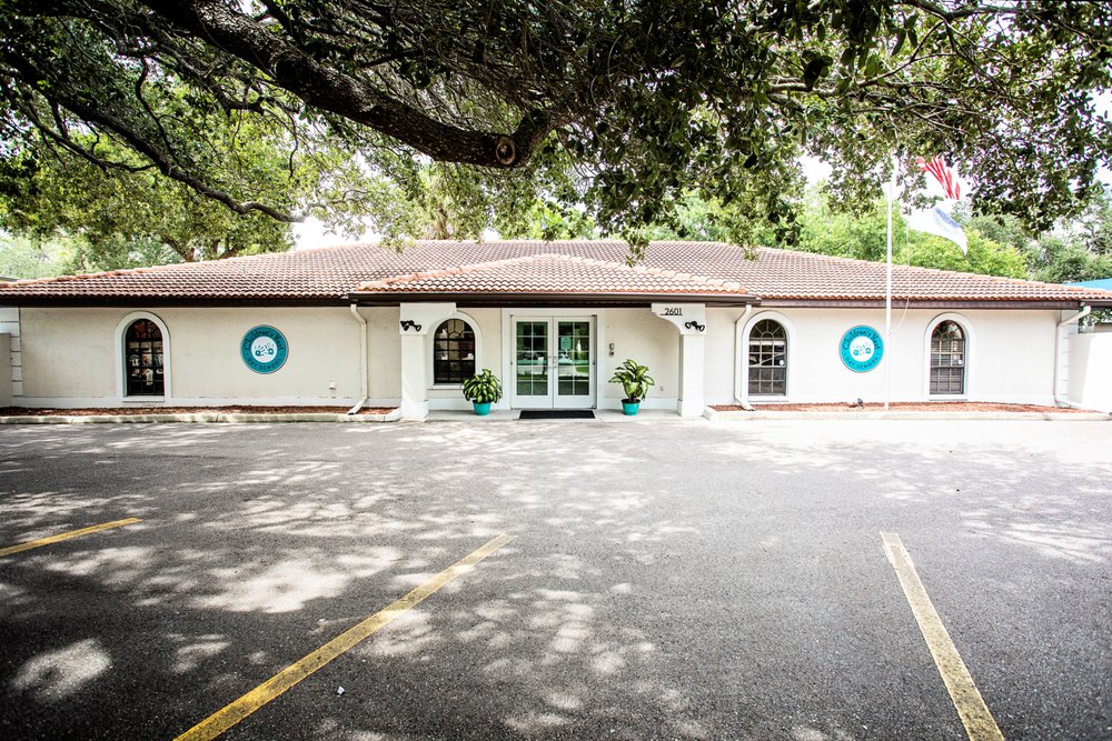 Children's Nest Day Schools - childcare center in Tampa, FL