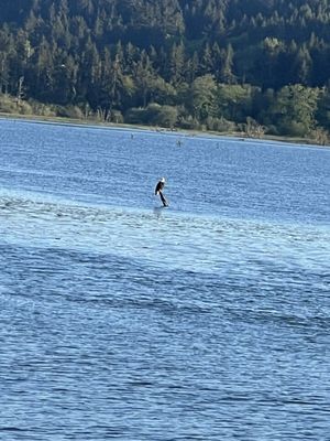Billy Frank Jr. Nisqually National Wildlife Refuge by null