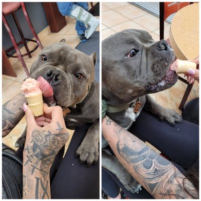 Gelato On The Danny & Espresso Bar by null