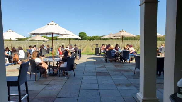 Sparkling Pointe Vineyards & Winery by null