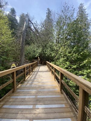 Belfountain Conservation Area by null