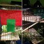 Photo of The Herps Alive Foundation