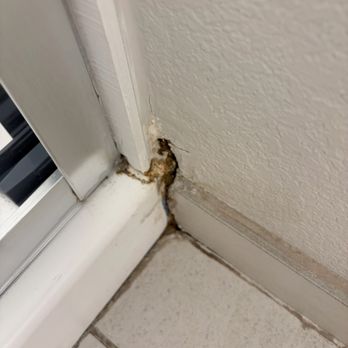 Holiday Inn Express Wells-Ogunquit-Kennebunk - My bathroom was disgusting. Manager Rex was very rude. - Hotels Near Me - Wells, Maine Holiday Inn Express Wells-Ogunquit-Kennebunk - My bathroom was disgusting. Manager Rex was very rude. - Hotels Near Me - Wells, Maine