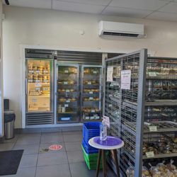 The Original Luisa & Son Bakeshop - Interior