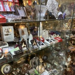 Lichfield Antiques Centre - Fossils anyone?