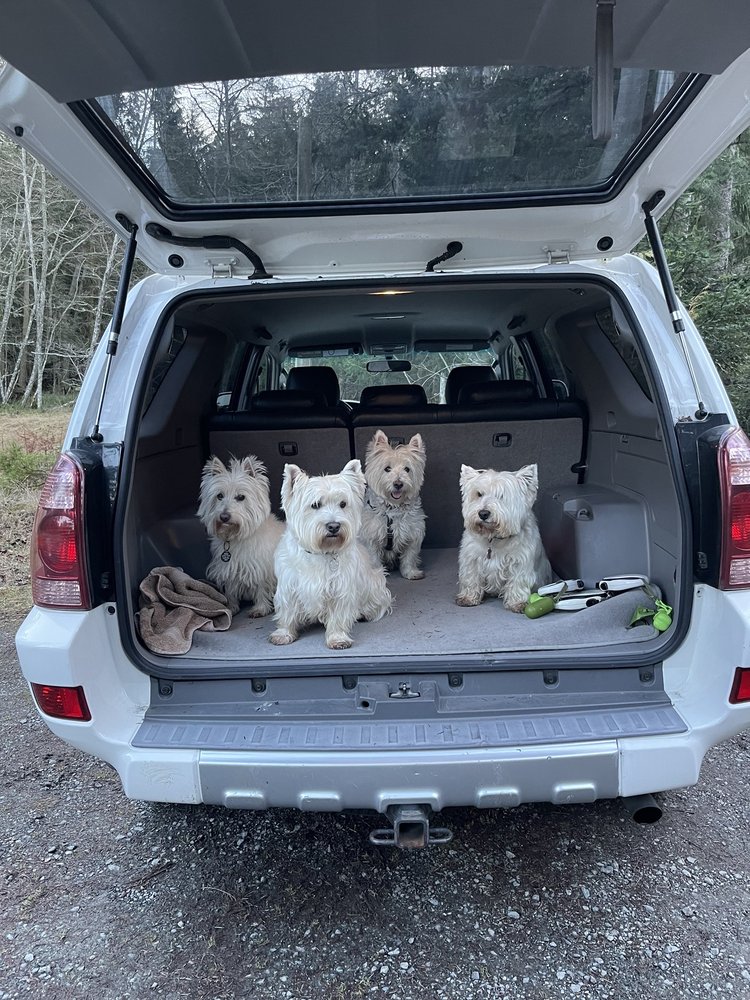 Anacortes Animal Hospital Image