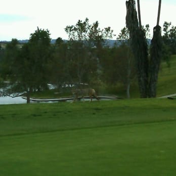 Hansen Dam Golf Course - Golf Near Me - Pacoima, California