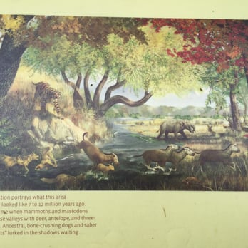 Museum At Warm Springs - Museums Near Me - Warm Springs, Oregon Museum At Warm Springs - Museums Near Me - Warm Springs, Oregon