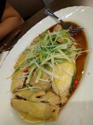 Captain's Catch by null