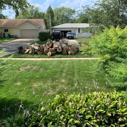 Raul's Tree Services