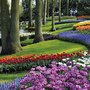 Photo of Der Blumenmarkt
