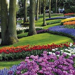 Der Blumenmarkt