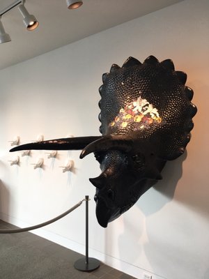Yellowstone Art Museum by null