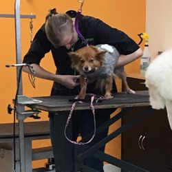Rufus DuMonde Pet Salon - Ruby getting nails did