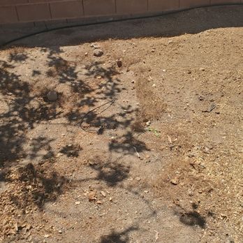 WestCo Tree Service - After - Tree Services Near Me WestCo Tree Service - After - Tree Services Near Me