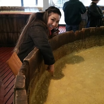 Maker's Mark Distillery - Sampling some mash. - Tours Near Me - Loretto, Kentucky Maker's Mark Distillery - Sampling some mash. - Tours Near Me - Loretto, Kentucky
