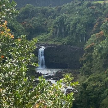 The Umauma Experience - One of the waterfalls on the tour - Ziplining Near Me - Hakalau, Hawaii The Umauma Experience - One of the waterfalls on the tour - Ziplining Near Me - Hakalau, Hawaii