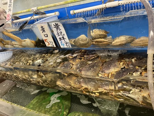 M. P. Seafood Market by null