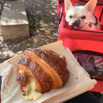 Mel - Cheese and jalapeño pretzel with one ridiculously adorable Frenchie - Bakeries Near Me - Hudson, New York Mel - Cheese and jalapeño pretzel with one ridiculously adorable Frenchie - Bakeries Near Me - Hudson, New York