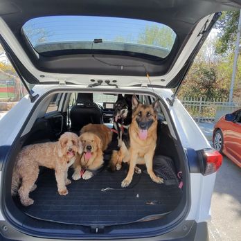 K-9 Imperator - Pet Training Near Me K-9 Imperator - Pet Training Near Me