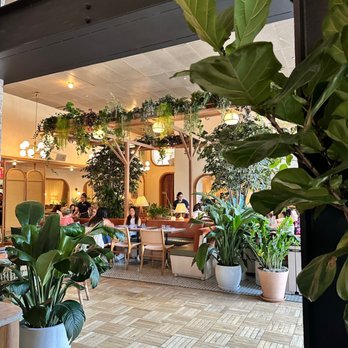 K'Far - Breakfast & Brunch Near Me - Brooklyn, New York K'Far - Breakfast & Brunch Near Me - Brooklyn, New York