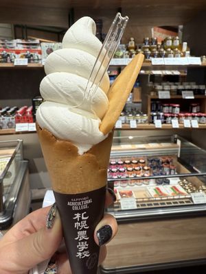 Sapporo Station by null