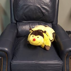 The Immunization Clinic - You can sit here and let Bumble comfort you while receiving your vaccines