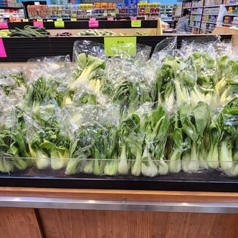 Global Fresh Market - Baby bok choy (Shanghai bok choy) - Grocery Near Me - San Gabriel, California Global Fresh Market - Baby bok choy (Shanghai bok choy) - Grocery Near Me - San Gabriel, California