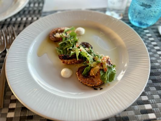 Beloved Playa Mujeres by null