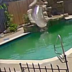 Pool-Aid
