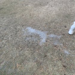 Village Greens Golf Course - They should call this place village brown