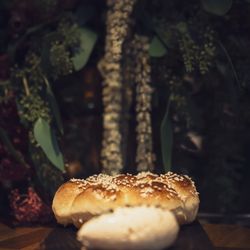 Verse - Hokkaido Milk Buns.. Brown Butter, Sesame Seeds, Murray River Salt