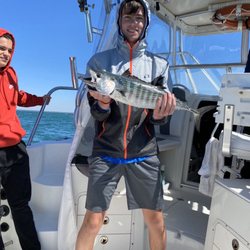 Teezher Charters