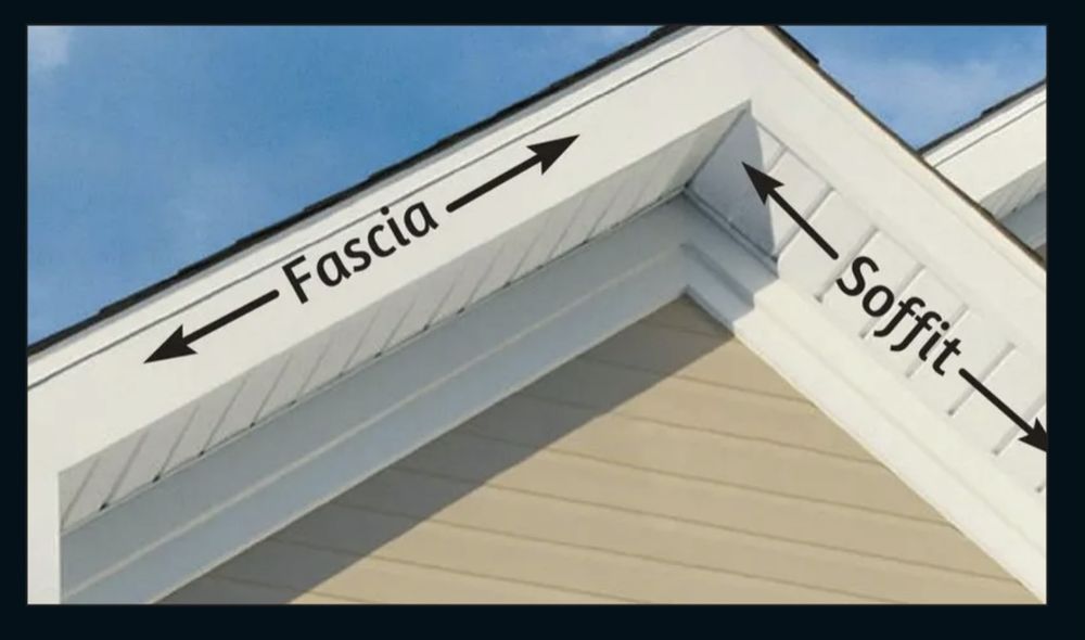 Slide of R M I Linhares