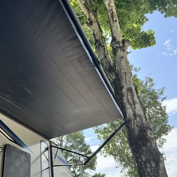 Raccoon Mountain Caverns and Campground - Tree too close to awning - Campgrounds Near Me - Chattanooga, Tennessee