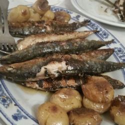A Tasca do Zéquinha - Sardine type fish