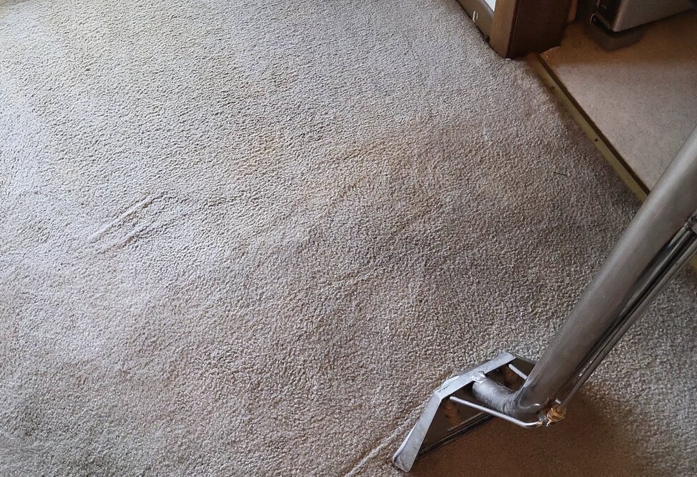 Done Right Carpet and Floor Care - veterans service organization in Kodak, TN