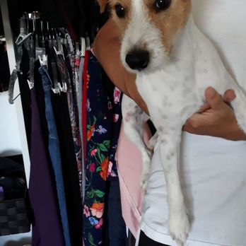 Ooh Puppy - Pet Groomers Near Me - La Mirada, California Ooh Puppy - Pet Groomers Near Me - La Mirada, California