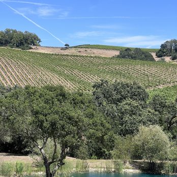 Chalk Hill Estate Vineyards - Wine Tasting Room Near Me - Healdsburg, California Chalk Hill Estate Vineyards - Wine Tasting Room Near Me - Healdsburg, California