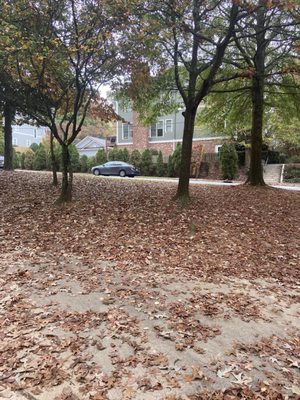 Freedom Park by null