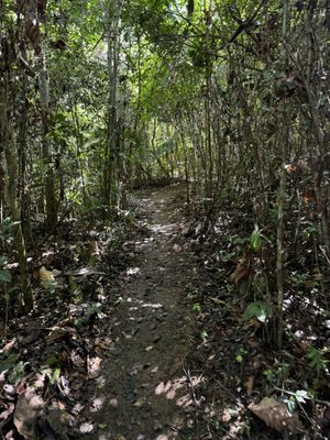 Cañón San Cristóbal by null