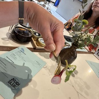 Nudi Blue - Tea Rooms Near Me - Berkeley, California Nudi Blue - Tea Rooms Near Me - Berkeley, California
